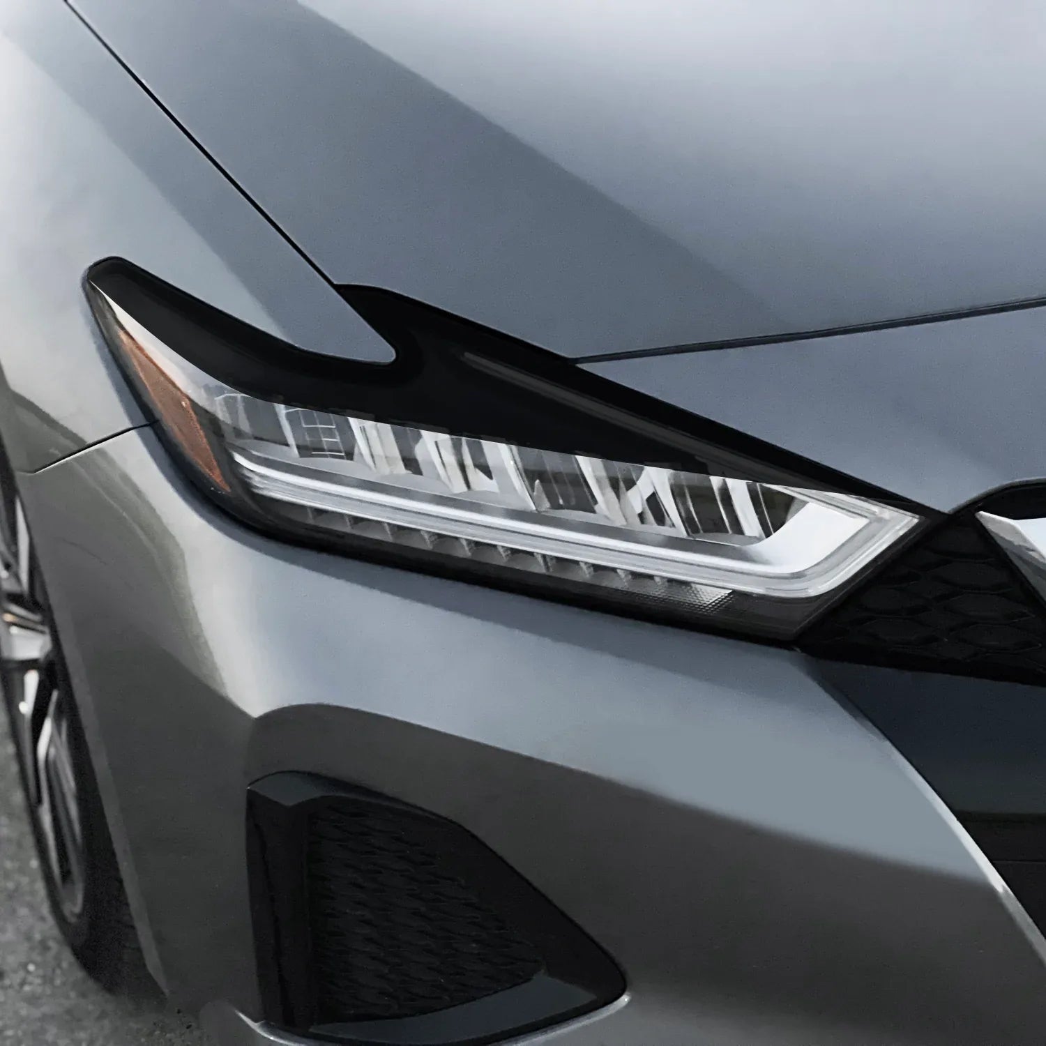 2019-2023 Nissan Maxima | Headlight Eyelid PreCut Vinyl Overlays