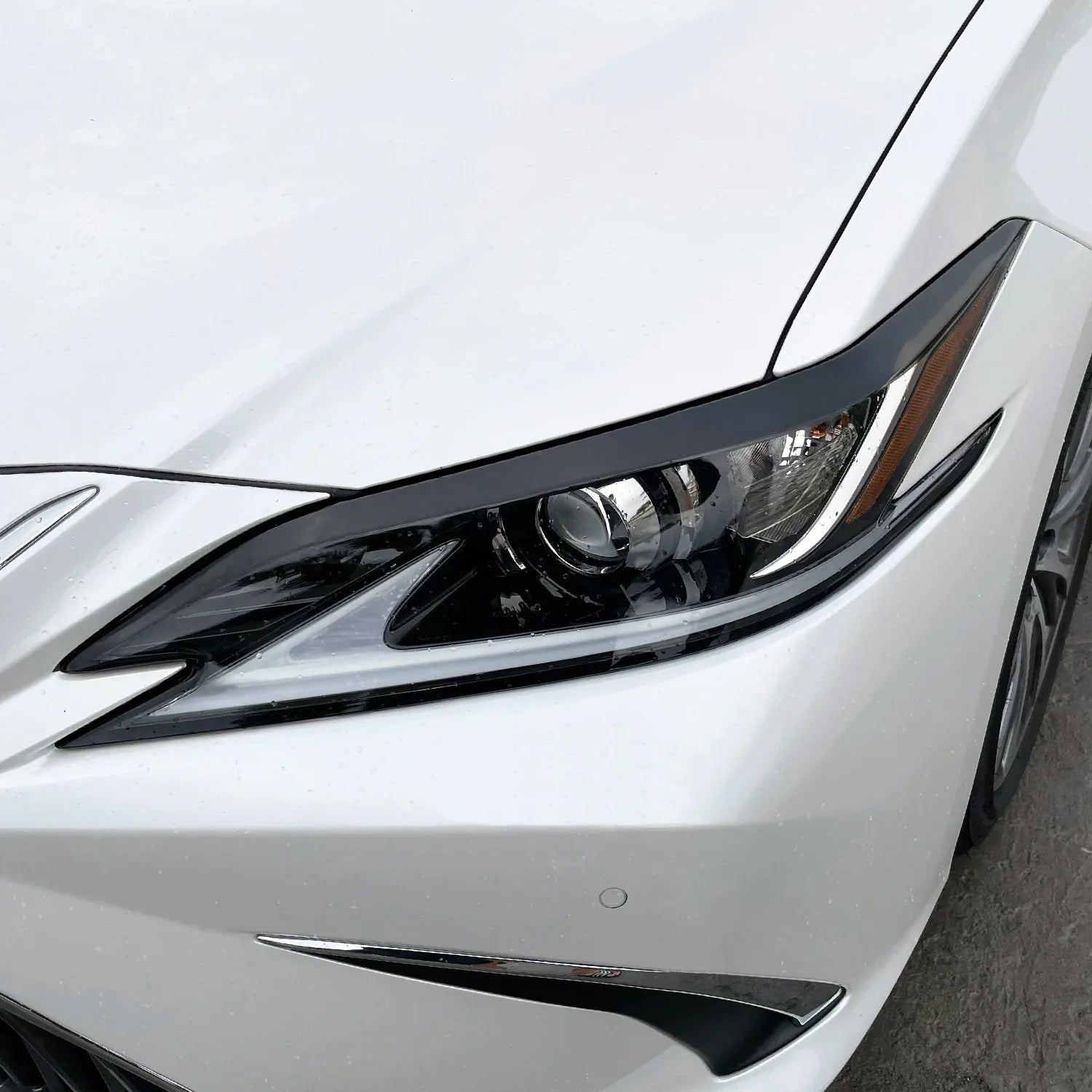 eyelid20p5_bd995c53-96c7-4c0e-ab02-598aae25e3a2 - SlickMod