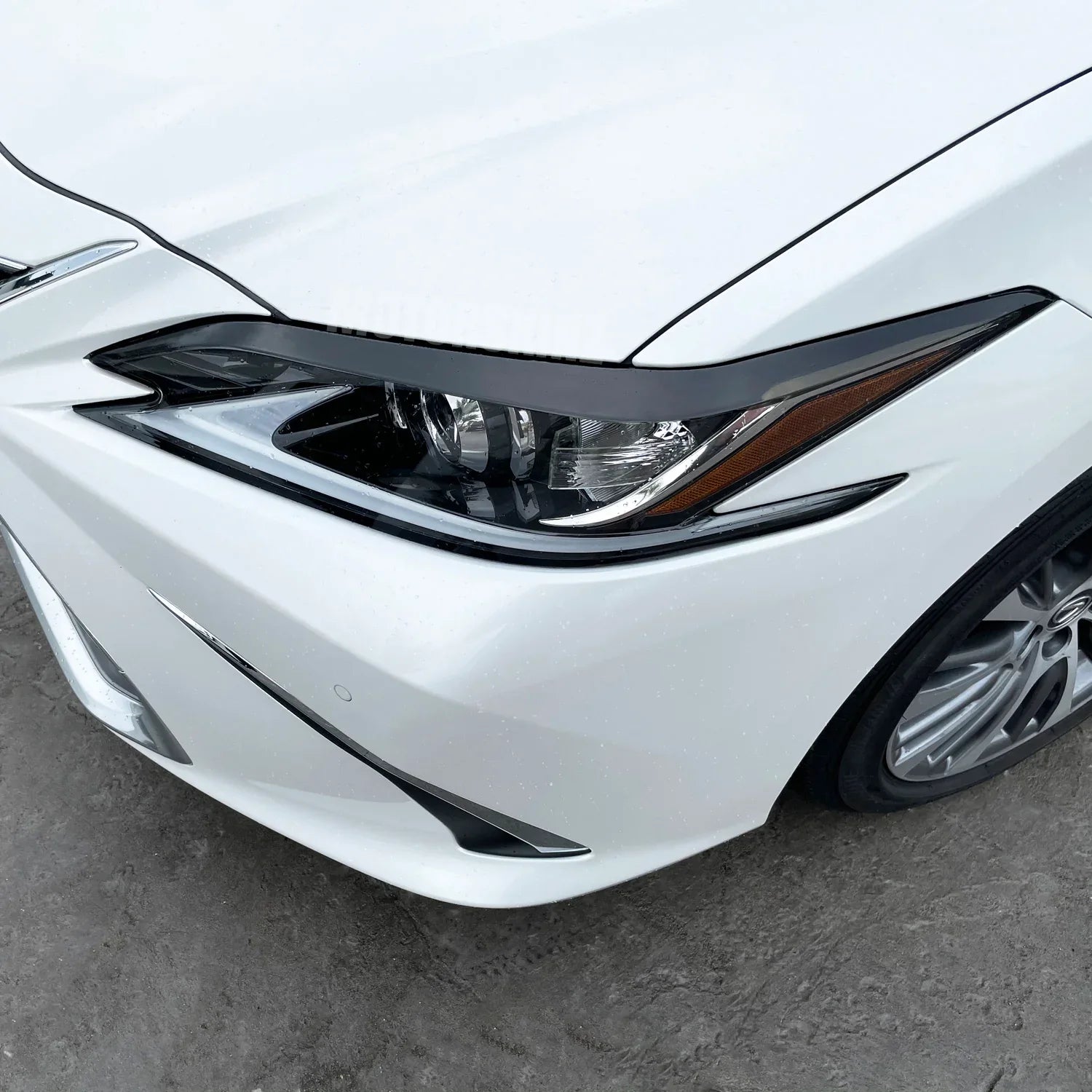 eyelid20p6_814611be-f687-48b4-a1ee-82c10ba4207a - SlickMod