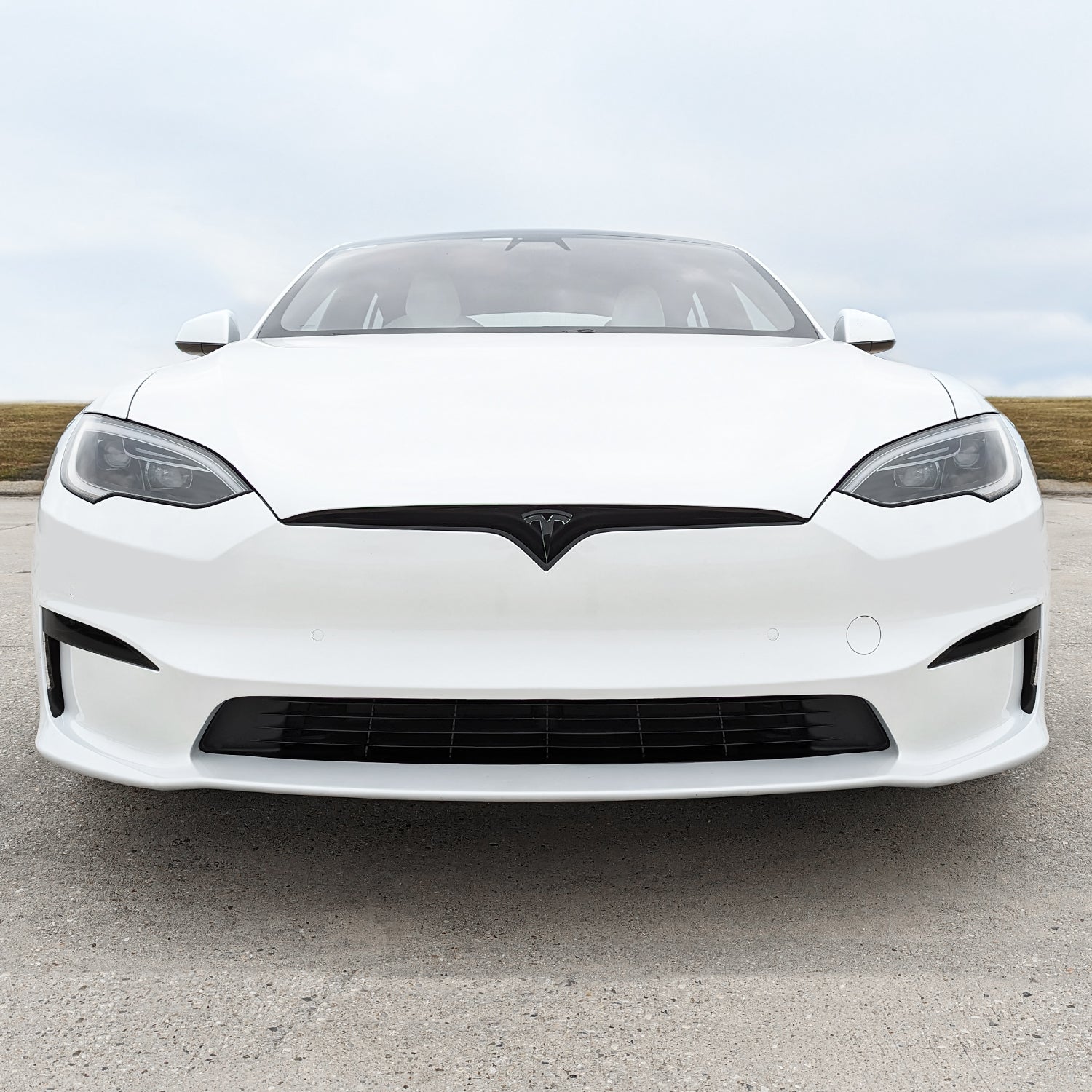 2022-2026 Tesla Model S | Fog Light PreCut Tint Overlays