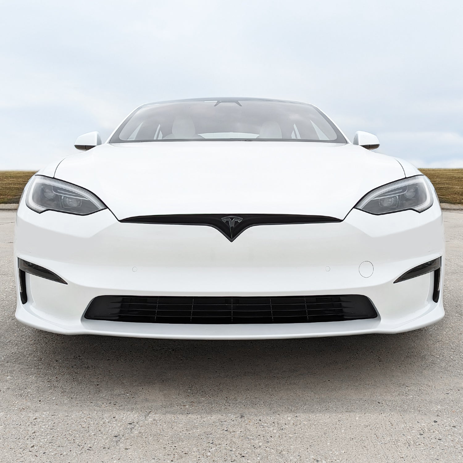 2022-2026 Tesla Model S | Fog Light PreCut Tint Overlays
