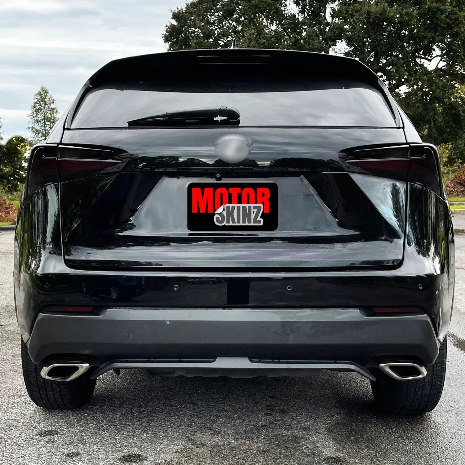 2015-2017 Lexus NX | Tail Light PreCut Tint Overlays