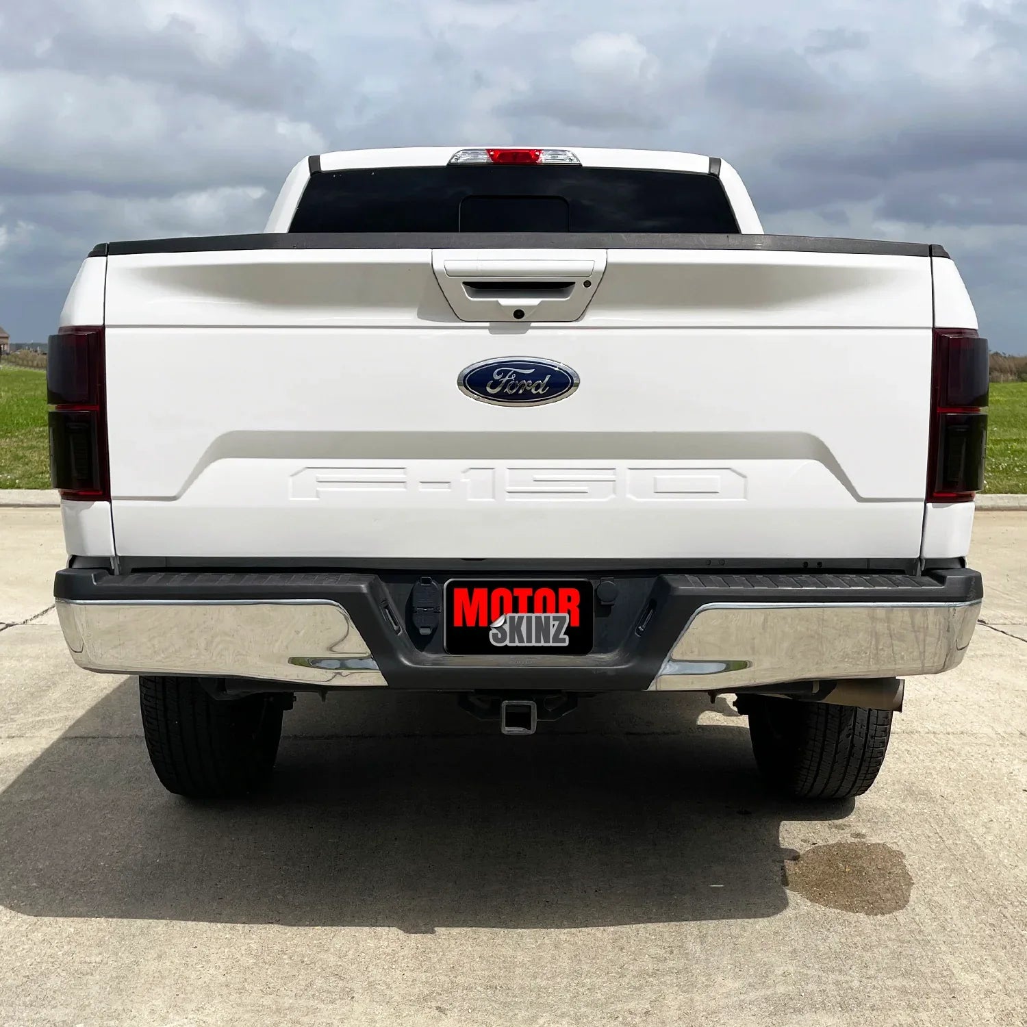 2018-2020 Ford F150 | Tail Light PreCut Tint Overlays
