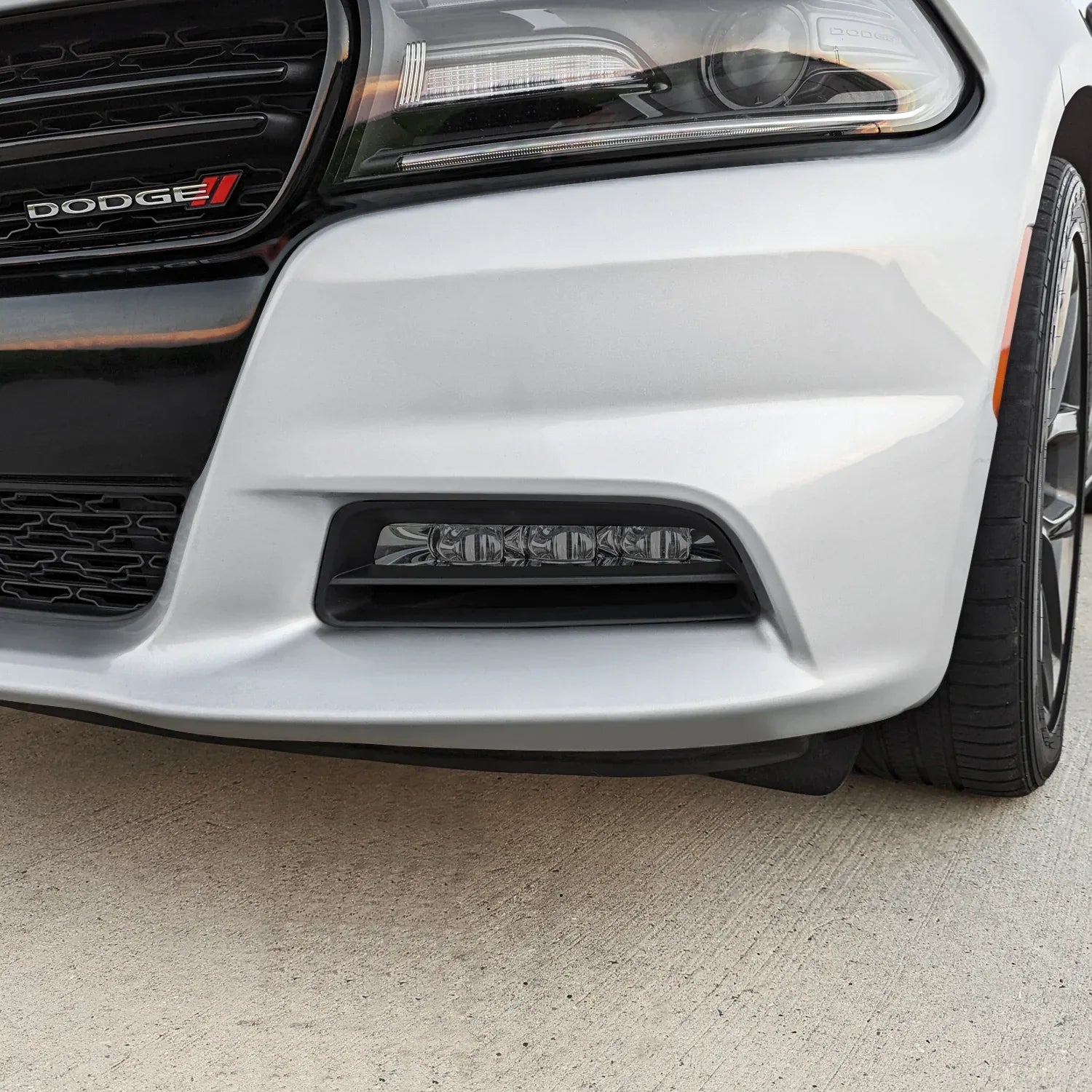2015-2023 Dodge Charger | Fog Light PreCut Tint Overlays