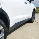 2020-2022 Hyundai Palisade | Door Molding Trim Chrome Delete PreCut Vinyl Wrap